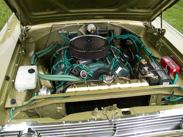 P1010098.JPG
